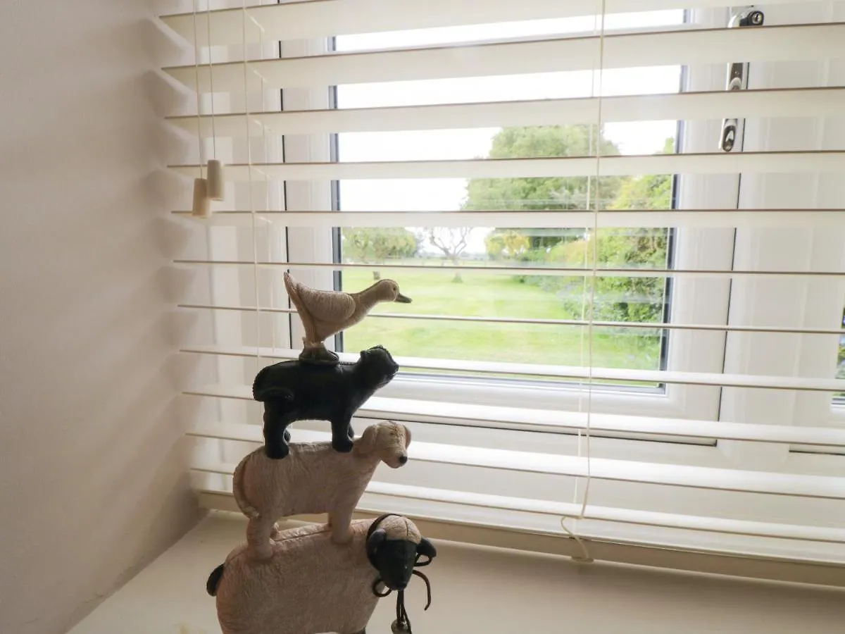 Cartwheel Cottage يورك